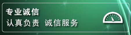 温县建网站公司